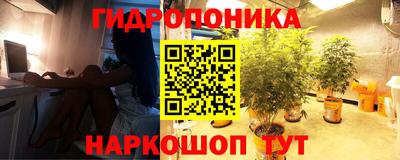 jwh Владимир