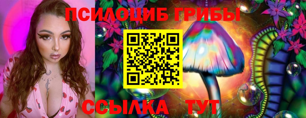 Галлюциногенные грибы ЛСД Котлас