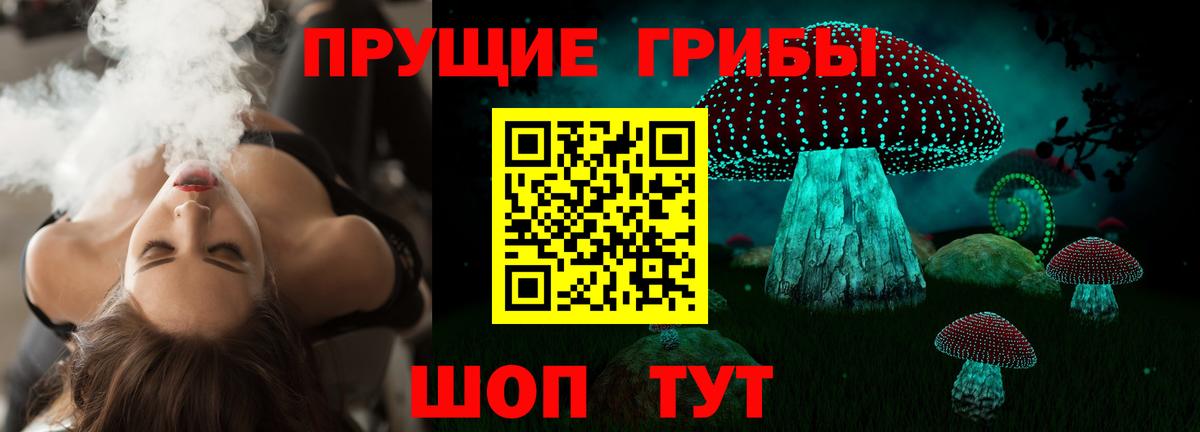 Котлас  Псилоцибиновые грибы Cubensis  Вход с VPN 